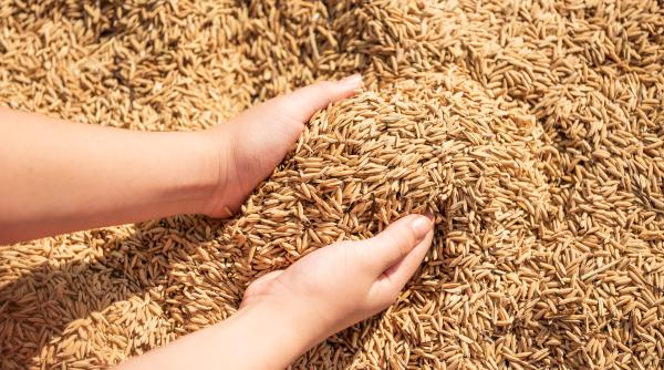 Tranzitul cerealelor ucrainene. Polonia a cerut un miliard de euro de la UE