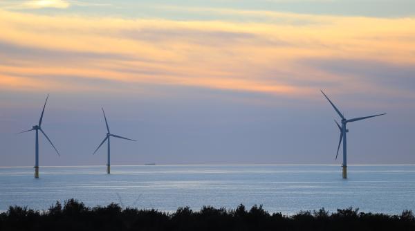 Centrale eoliene în Marea Neagră. Ministrul Burduja, anunţul zilei: Potenţial imens