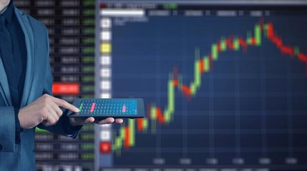 Depozitul Central distribuie dividende pentru Bermas S.A. și Purcari