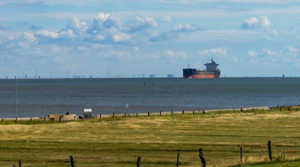 Cine sunt asigurătorii care își asumă riscurile navelor ucrainene din Marea Neagră