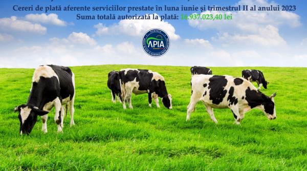 APIA: Sprijin financiar în valoare de peste 16,9 milioane lei pentru crescătorii de animale