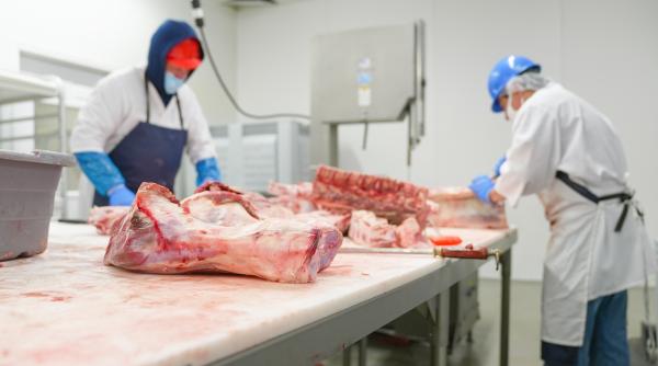 Investiţii în fermele de reproducție, pentru stimularea producţiei interne de carne de porc şi pasăre