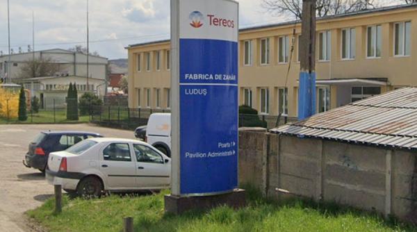 Fabrica de zahăr din Luduş îşi reia producţia