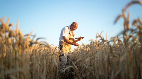 Fermierii români cer Guvernului interzicerea importul de produse agroalimentare ucrainene