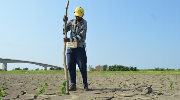 România va primi circa 34 milioane de euro de la UE pentru acoperirea daunelor cauzate de secetă  