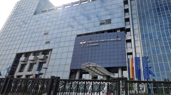 TNF 2023: Creștere cu 31,66% a cifrei de afaceri cumulată a companiilor din Top 10