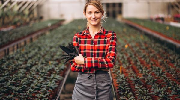 70 mii de € pentru tinerii fermieri, sprijin nerambursabil