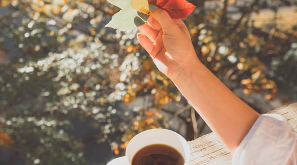 Știrile dimineții. Cele mai interesante informații la început de zi 