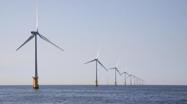 Mărimea contează. De ce industria eolienelor devine o problemă