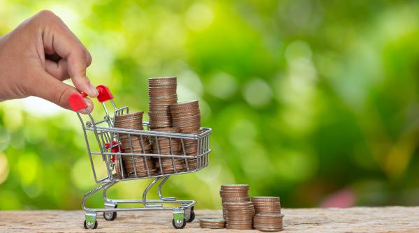 Vasilescu (BNR): Inflația s-a transformat în dezinflație. Ce înseamnă