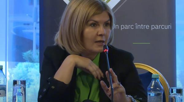 Limitarea plăților cash. Elena Cristian: A fost o capcană întinsă primului ministru