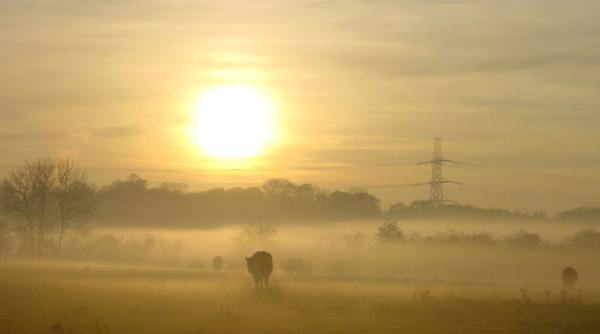 2023 va fi cel mai călduros din ultimii 125.000 de ani (Reuters)