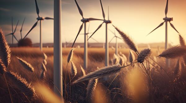 Expansiunea energiei verzi, blocată în Europa. Companiile sunt furioase