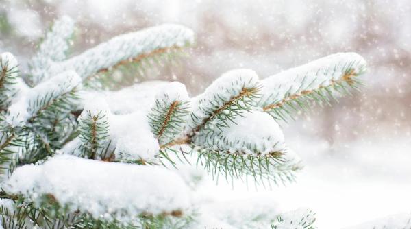 Avertizare meteo: Vânt, ninsori şi viscol în zone din 15 judeţe