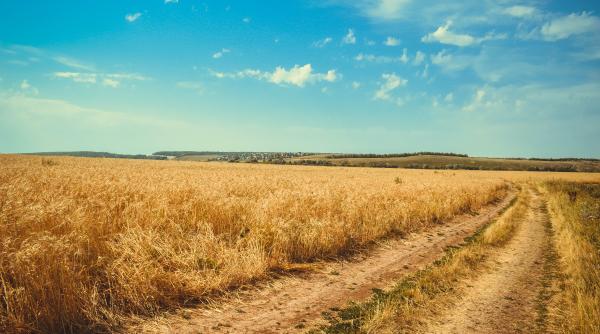 Veşti bune pentru cei care au terenuri. Demers privind facilitarea obţinerii titlurilor de proprietate