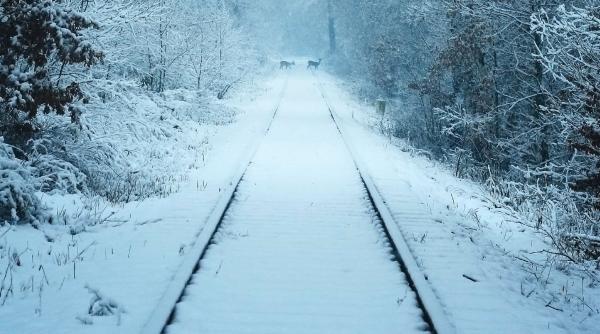 CFR: Trenuri anulate/trafic îngreunat din cauza vremii - Actualizare
