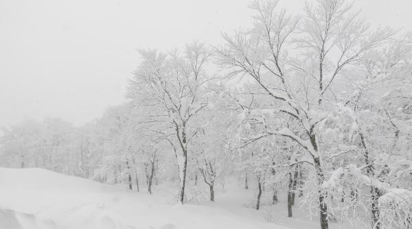 Viscolul dă năvală în patru județe. Cod galben pentru următoarele ore