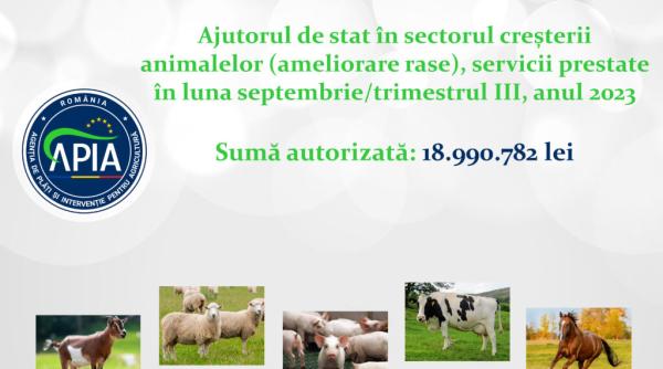 APIA: Sprijin financiar de aproape 19 milioane lei pentru crescătorii de animale