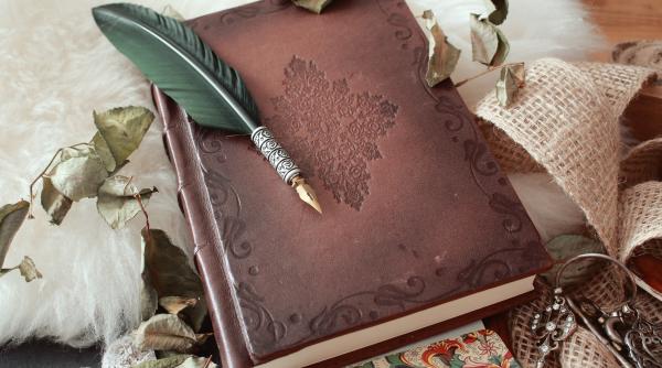 Stilourile Pelikan își schimbă proprietarul. Achiziția a primit undă verde 