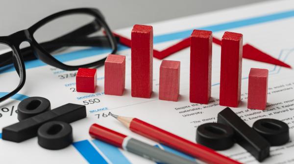 Germania nu va scăpa de recesiune în 2024, avertizează experții 