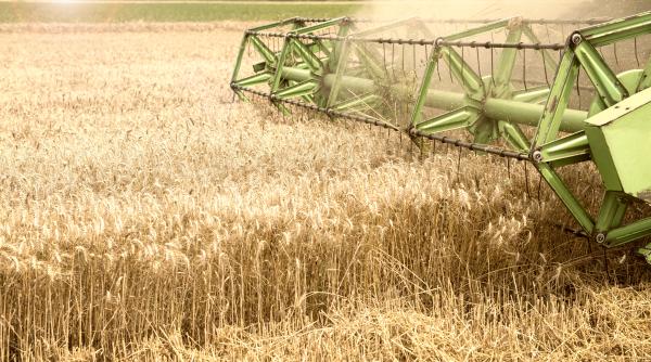 Cereale ucrainene. Rusia revine la jocul ei preferat: șantajul