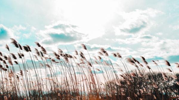 Secetă atmosferică fără precedent în Europa. Semnal de alarmă