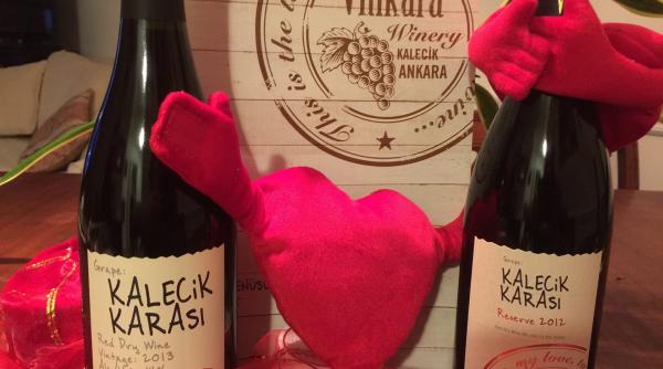 Turcia a pornit să cucerească piața mondială a vinurilor