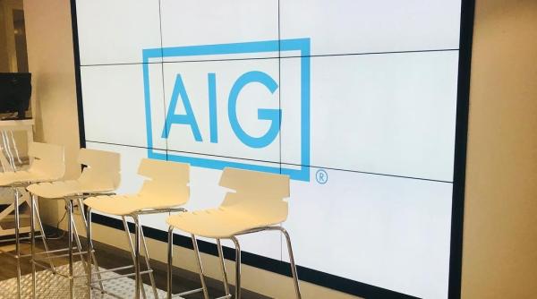 Compania AIG, principalul asigurător al avionului care a ars pe aeroportul din Tokyo
