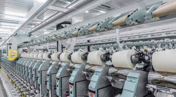 Cea mai mare fabrică de prelucrare a lânii din Europa va fi construită în România