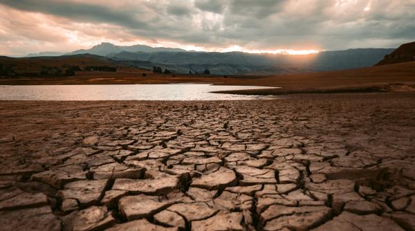 Secetă pedologică în mai multe zone agricole din România 