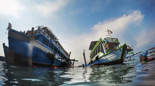 Cele mai distructive flote de pescuit sunt și cele mai subvenționate 