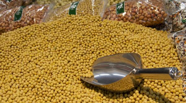 Prețul la soia a atins cel scăzut nivel din ultimii doi ani. Care este explicația