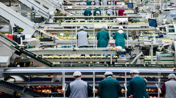 Eurostat: România, printre țările europene cu o rată scăzută a șomajului în 2023 