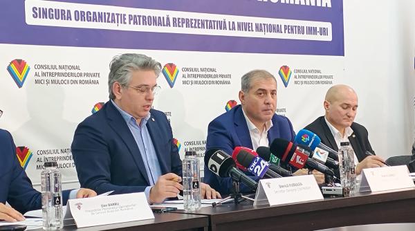 e-Factura: CNIPMMR va cere amânarea termenului de intrare în vigoare a amenzilor