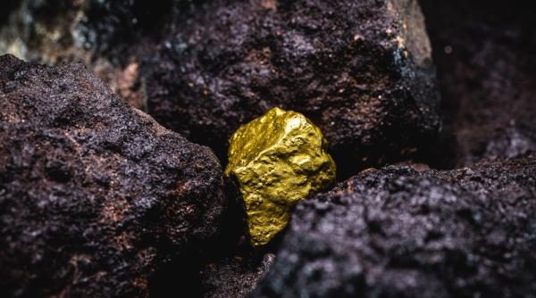 Litigiul Roșia Montană: Cum s-a ajuns la această situație. Profesorul Mircea Coșea are o ipoteză