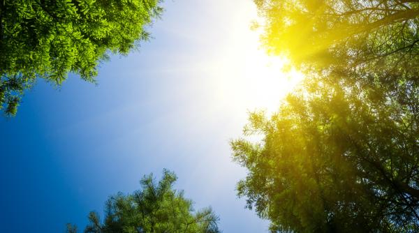 O taxă pe soare? Ministrului Energiei: ”S-a transpus o directivă europeană”