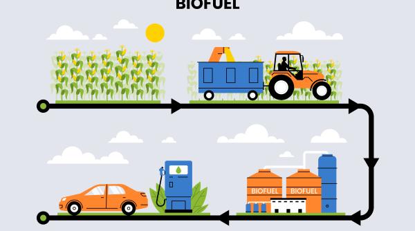 Biocombustibilii întâmpină rezistență din partea UE