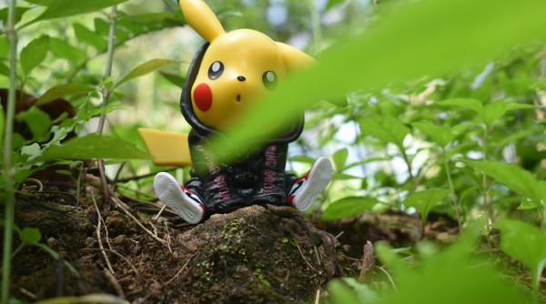 Pokémon va scoate un joc nou. Când urmează să fie lansat 