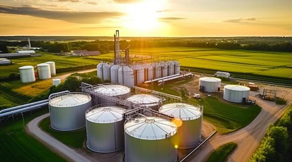 Decalogul bioenergiei: Zece bariere și soluții pentru implementare