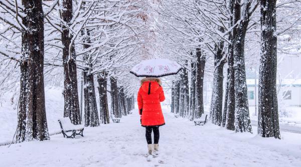 Prognoză meteo. Se întorc ninsorile