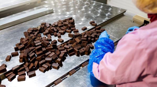 Principalii procesatori mondiali de cacao sunt în declin. Prețurile ciocolatei au explodat