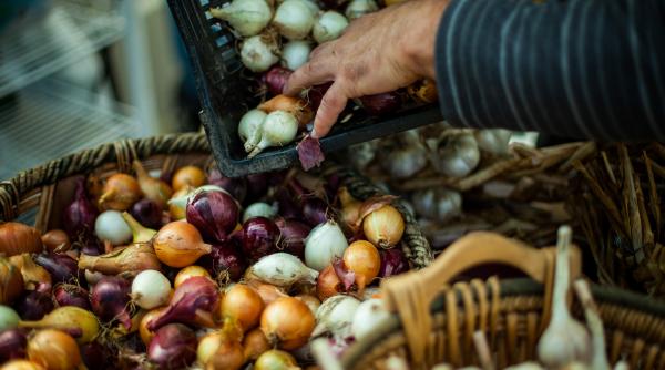 Criza cepei. India interzice exportul de pe termen nelimitat