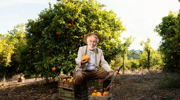 Cel mai mare exportator de suc de portocale anunță cea mai slabă recoltă din aproape 40 de ani