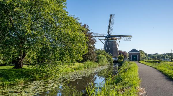 Care sunt cele mai mari companii listate la bursa olandeză