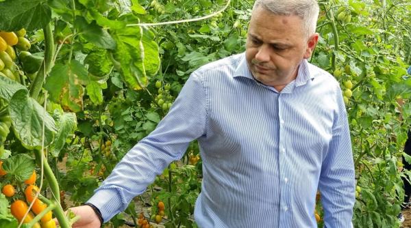 Ministrul Agriculturii, Florin Barbu: Va fi un an agricol foarte bun