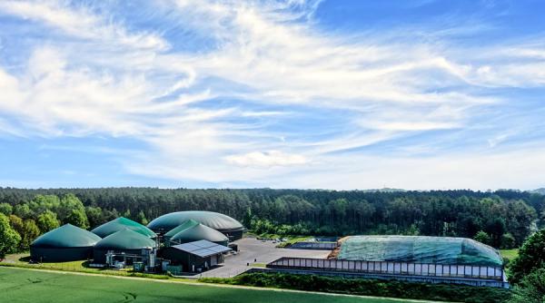 Black Sea Oil & Gas construiește în România centrale pe biogaz