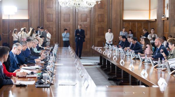 Şedinţă de Guvern, 13 iunie. Proiecte importante pentru cetăţeni şi pentru mediul economic - Detalii