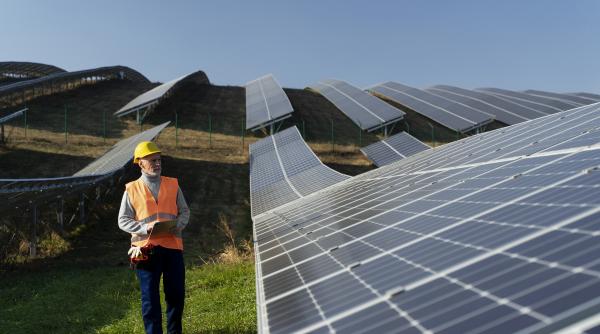 Prețuri negative record la energie electrică în UE. Panourile solare, principalul factor