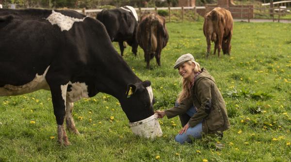 Danemarca, prima țară care va taxa emisiile de CO2 de la ferme