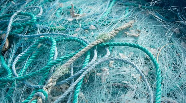 India se opune unui tratat al OMC privind pescuitul industrial excesiv 